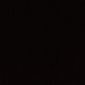 Meet your Posher, Irma