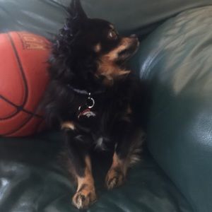 Meet your Posher, Gionna