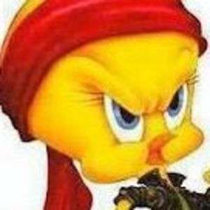 Meet your Posher, Johana