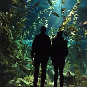 Meet your Posher, Shayla