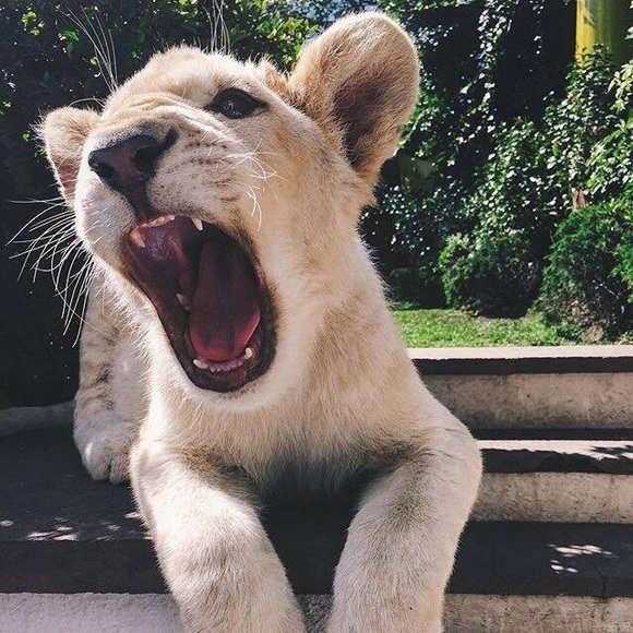 Meet your Posher, Guadalupe - Picture 1 of 1