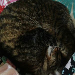 Meet your Posher, Bethann