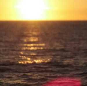 Meet your Posher, Grisel