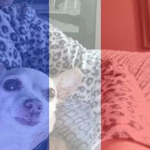 Meet your Posher, Janet