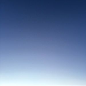 Meet your Posher, Abbey