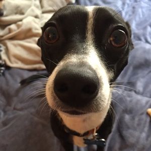 Meet your Posher, Mikayla