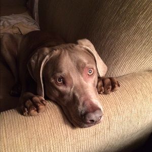 Meet your Posher, Oksanna