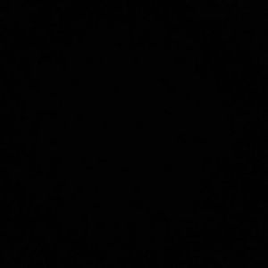 Meet your Posher, Eden