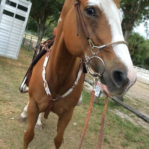 Meet your Posher, Alexandria