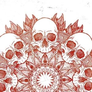 Meet your Posher, Abigail