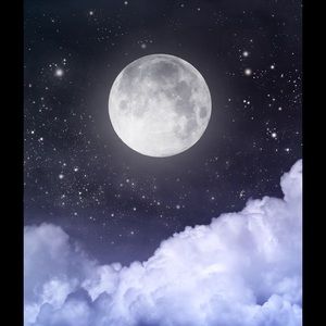 Meet your Posher, Savannah