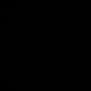 Meet your Posher, Martha