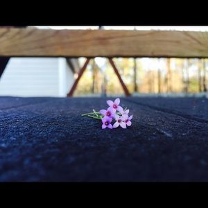 Meet your Posher, Erika