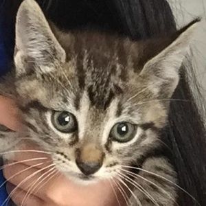 Meet your Posher, Keith