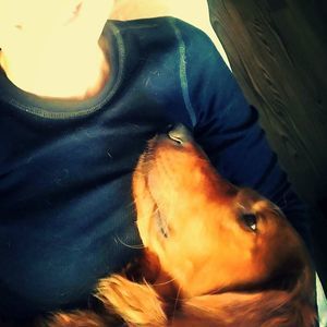 Meet your Posher, Abby