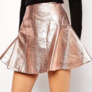Antipodium Retriever Skirt in Metallic
