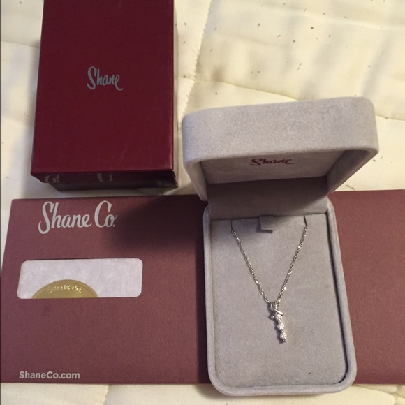 Shane Co. Jewelry - 14k white gold pendant necklace