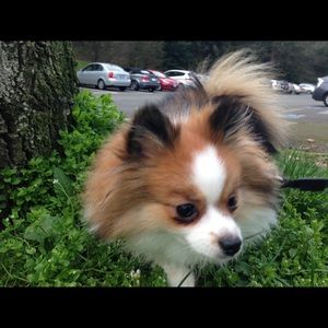 Meet your Posher, Jaclyn