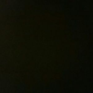 Meet your Posher, Lashunda