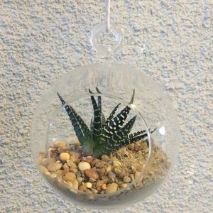 Meet your Posher, Rene