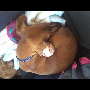 Meet your Posher, Donna