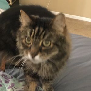 Meet your Posher, Kendall