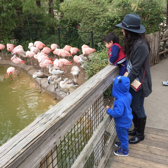 Meet your Posher, Trimi - Picture 2 of 3