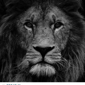 Meet your Posher, Qb