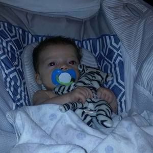 Meet your Posher, Annette