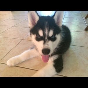 Meet your Posher, April