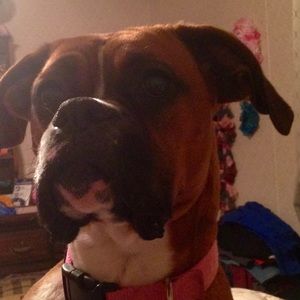 Meet your Posher, Angela