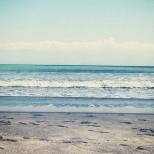 Meet your Posher, Lexi