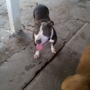 Meet your Posher, Irvin