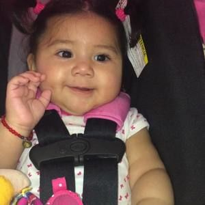 Meet your Posher, Dora