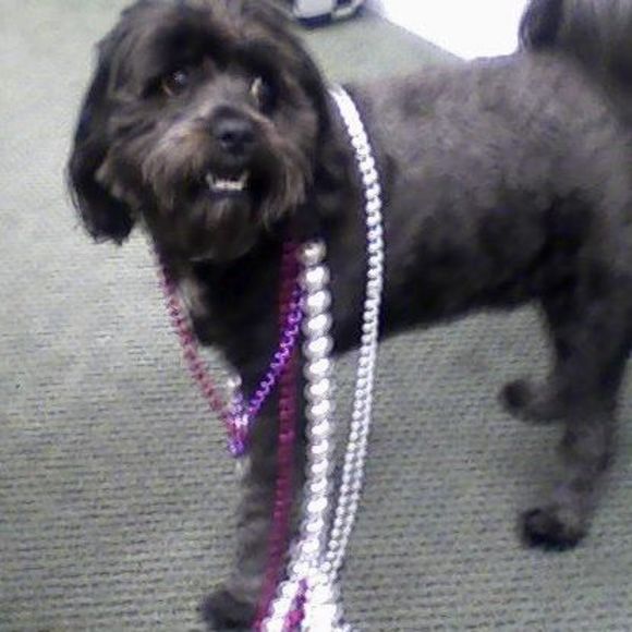 Meet your Posher, Mary