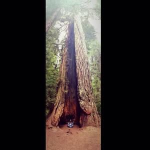 Meet your Posher, Ting