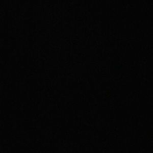 Meet your Posher, Daphne