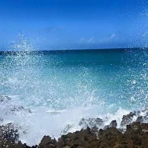 Meet your Posher, Melina