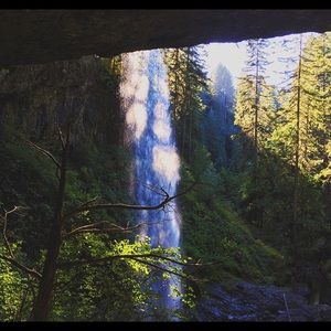 Meet your Posher, Celina