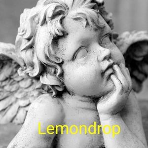 Meet your Posher, Cristi