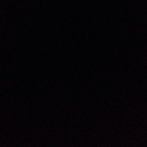 Meet your Posher, Abbie