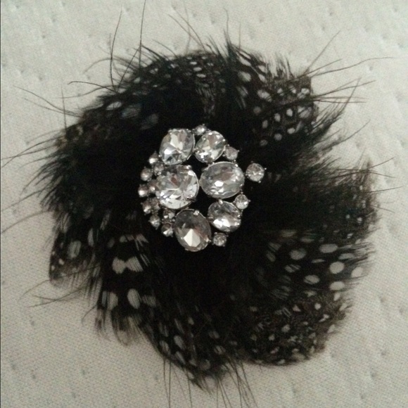 Stella & Dot brooch