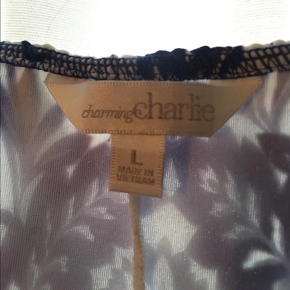 Charming Charlie Sundress - Picture 3 of 3