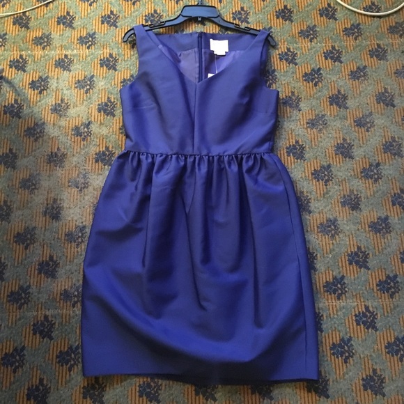 Kate Spade cupcake skirt dress