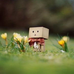 Meet your Posher, Evey