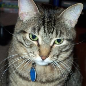 Meet your Posher, Charlene