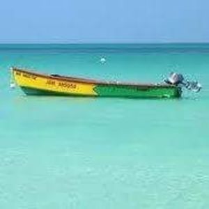 Meet your Posher, Devon