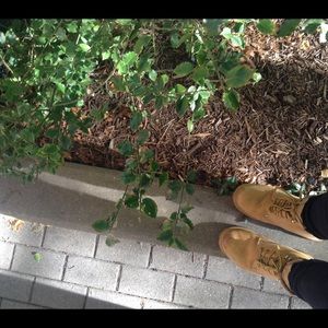 Meet your Posher, Catrina