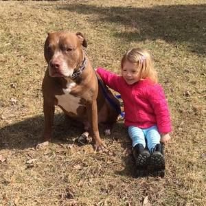 Meet your Posher, Jessie