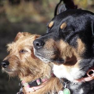 Meet your Posher, Jolene